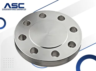 SS 446 Blind (BL) Flanges